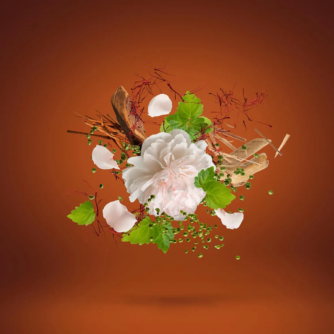 1888 Eau de Parfum 100ml