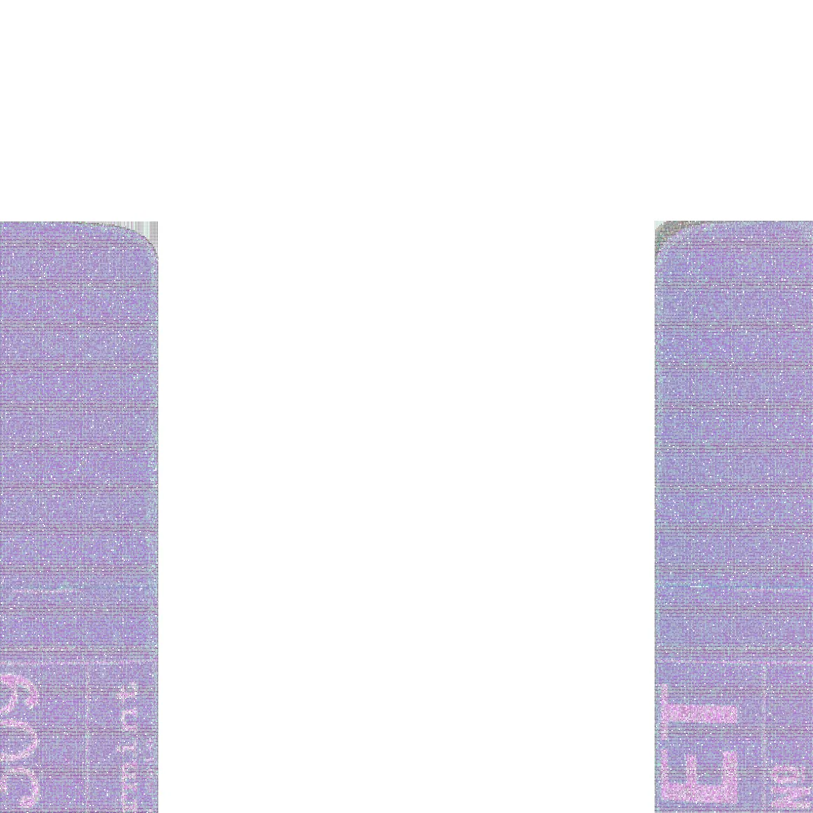 309 Lip Balm SOS 14gr