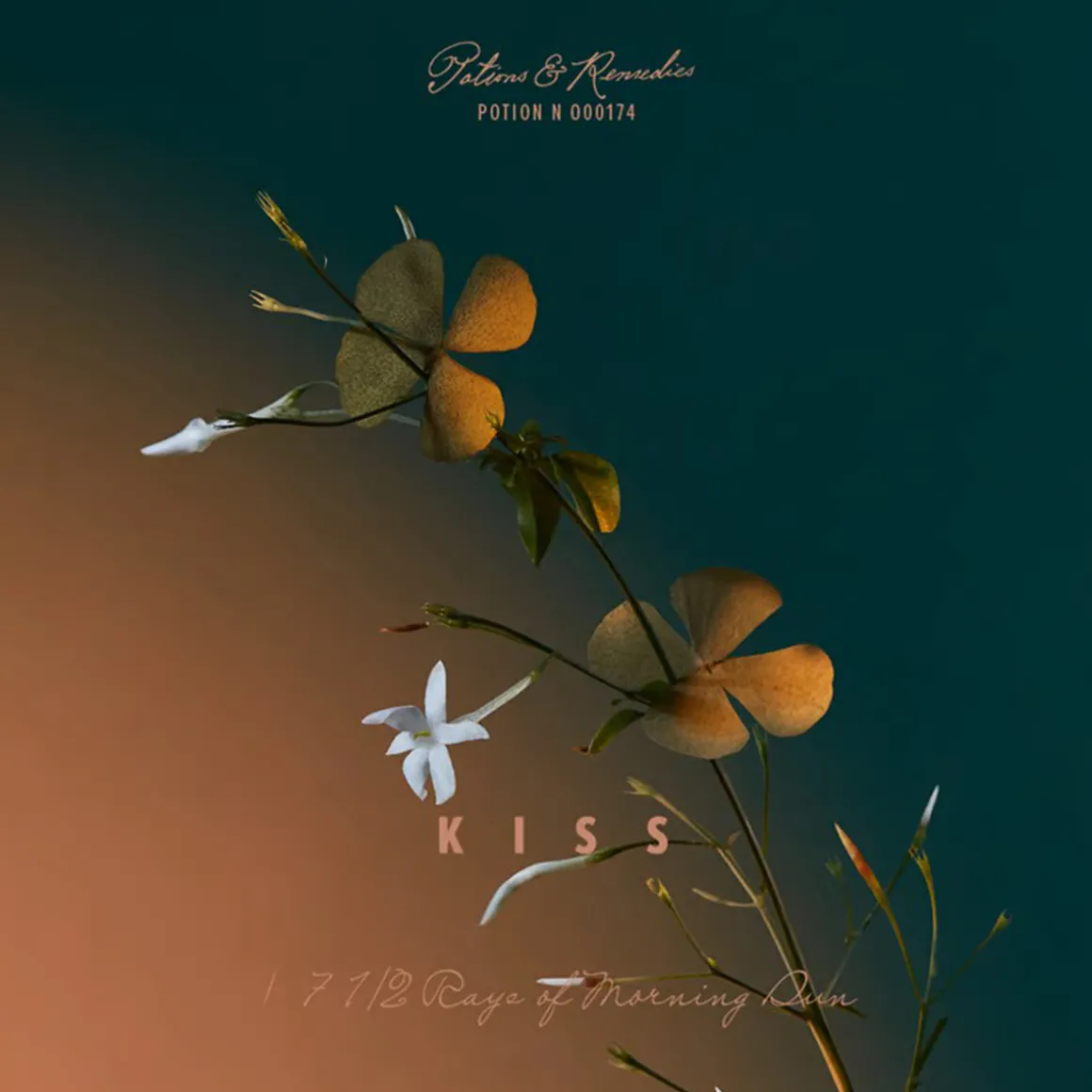 A Kiss of Bliss Eau de Parfum 100ml