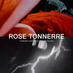 AA Rose Tonnerre Eau de Parfum 100ml
