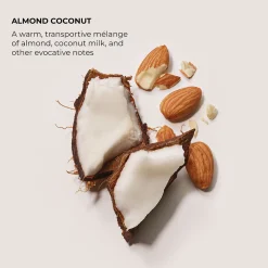 Almond Coconut Eau de Parfum 50ml