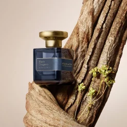 Black Oregano Extrait de Parfum 50ml