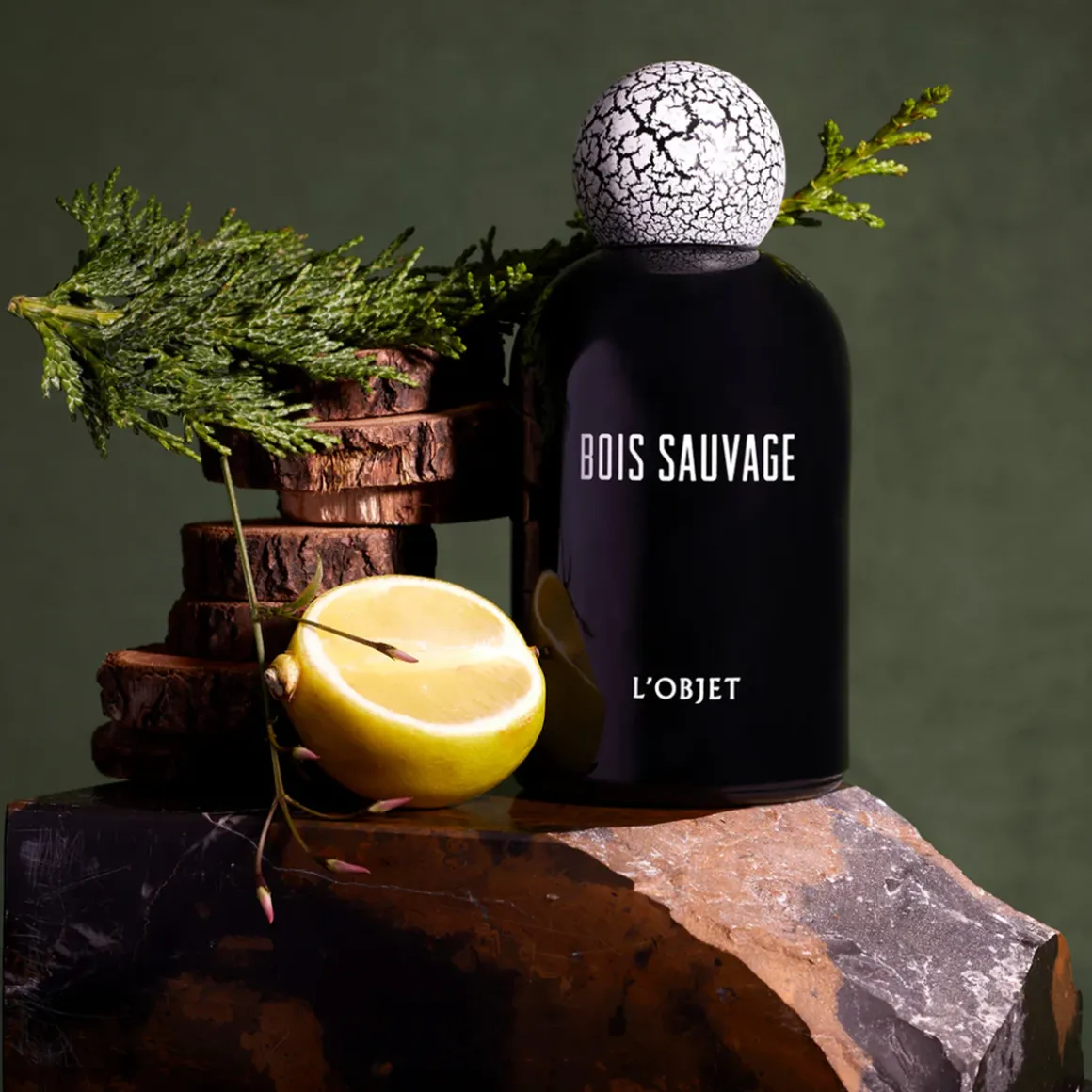 Bois Sauvage Eau de Parfum 50ml