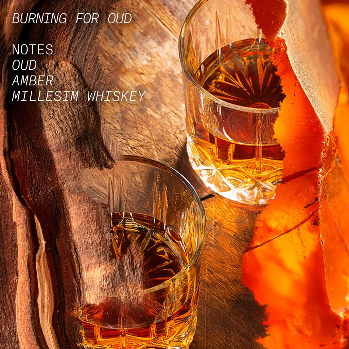 Burning For Oud Eau de Parfum 100ml