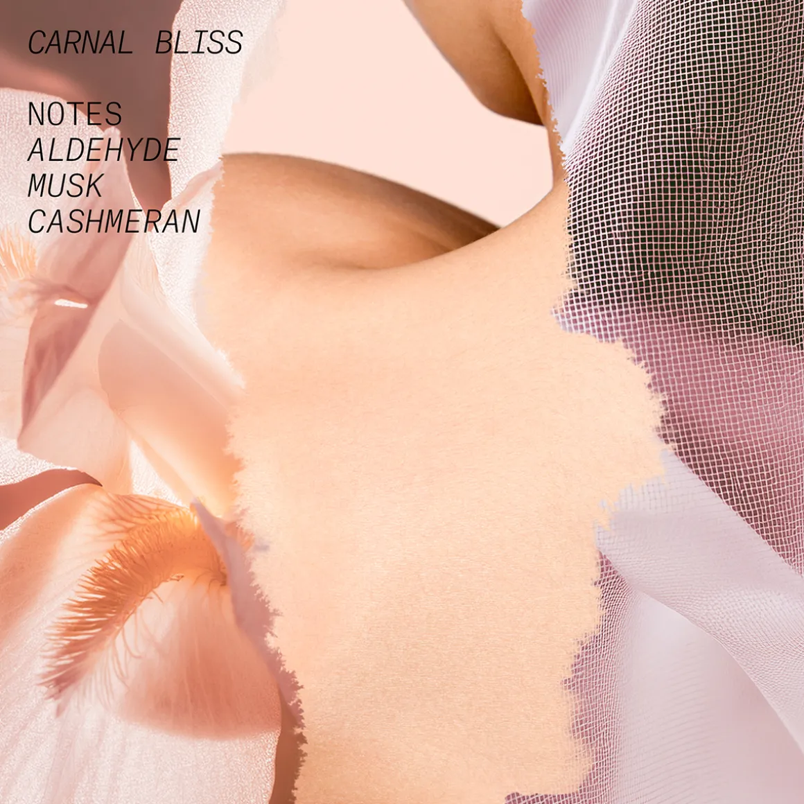 Carnal Bliss Eau de Parfum 100ml