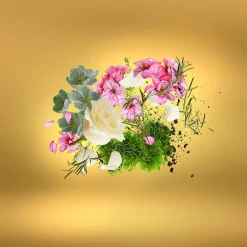 Casa Futura Eau de Parfum 100ml