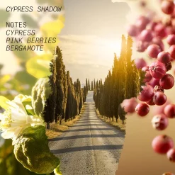 Cypress Shadow Eau de Parfum 100ml