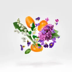 Dama Bianca Eau de Parfum 30ml