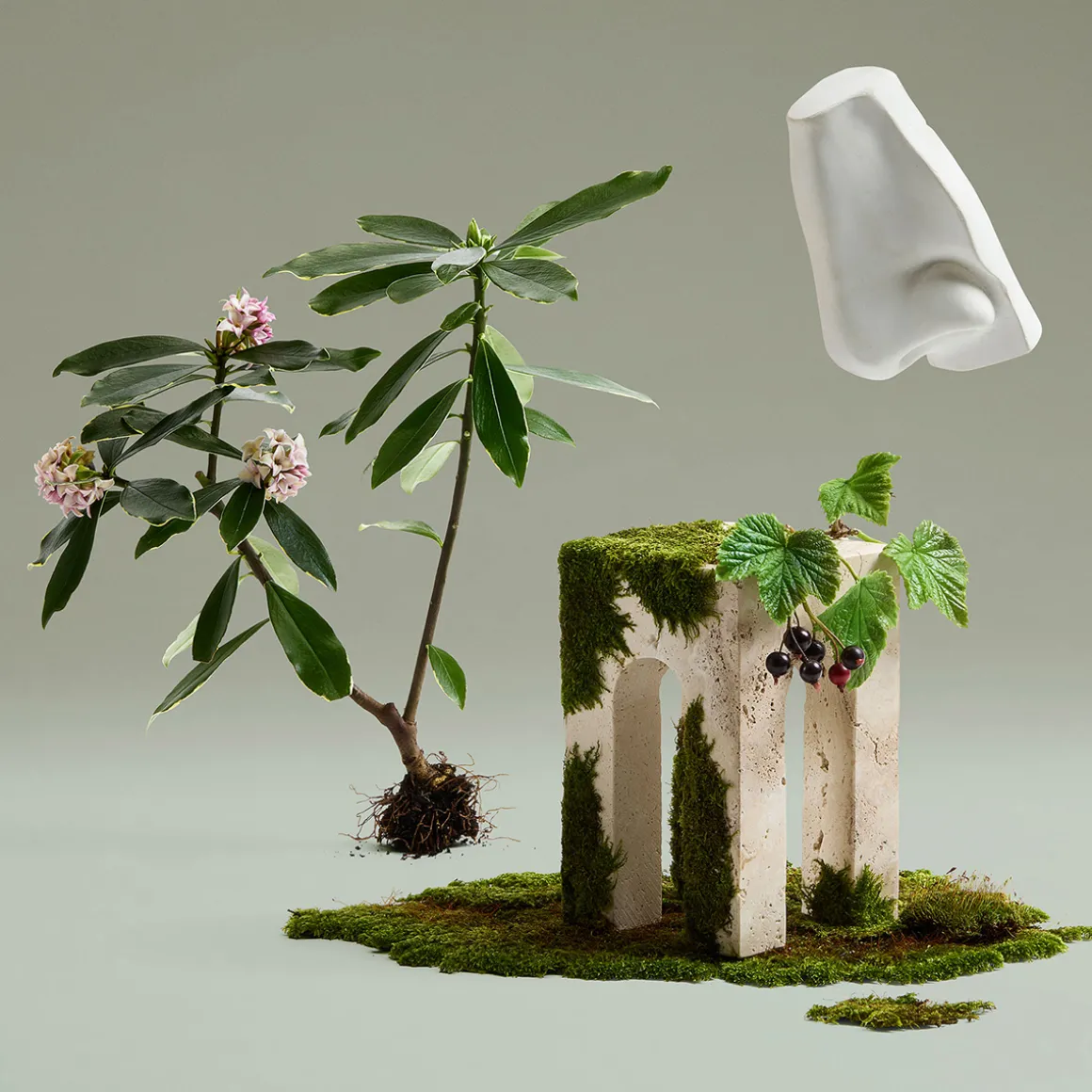 Daphne Bouquet Eau de Parfum 100ml