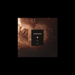 Dia Man Eau de Parfum 100ml