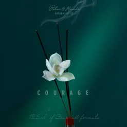 Eau the Audacity Eau de Parfum 100ml