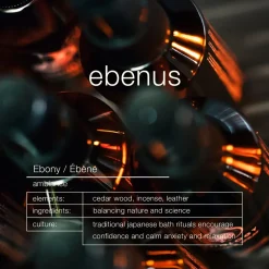 Ebenus Ambiance Trigger Spray 300ml