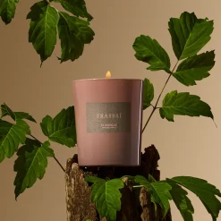 El Bosque Scented Candle 180gr