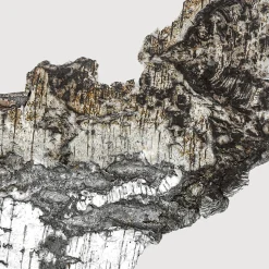 Falcon Leather Extrait de Parfum 100ml