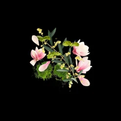 Fiore D'Ulive Eau de Parfum 30ml