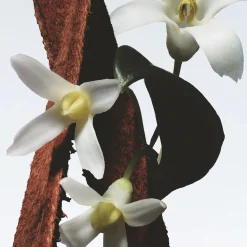 Fleur Du Mal Eau de Parfum Refill 200ml