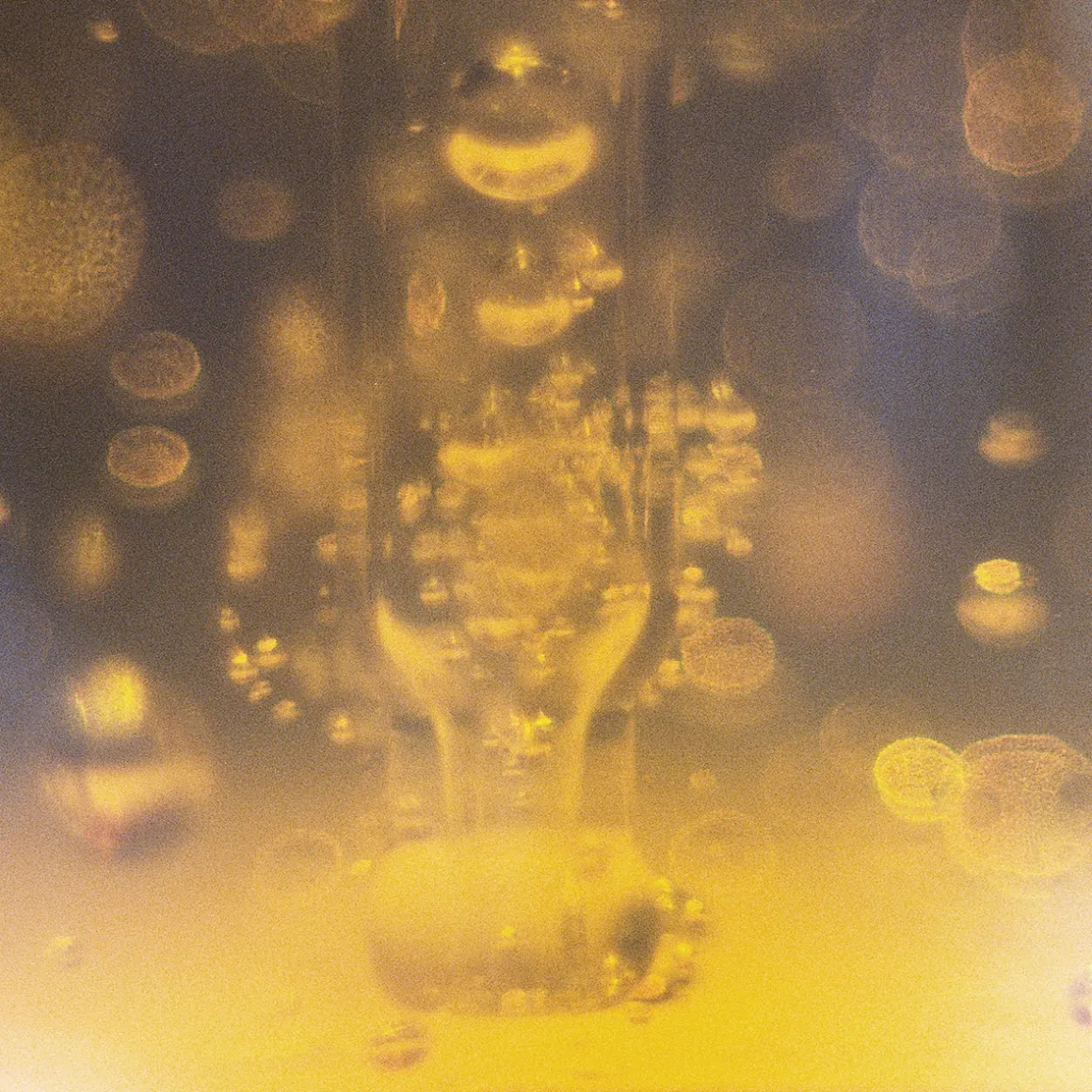 Ginseng Retinoid + Bakuchoil FO 50ml