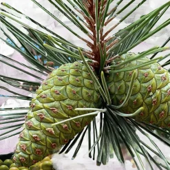 Gypsy Water Eau de Parfum 50ml