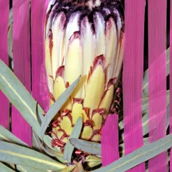 Infloresecence Eau de Parfum 100ml