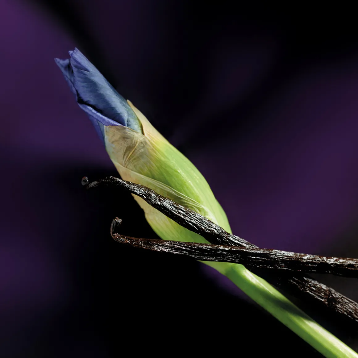 Iris Malikhân Eau de Parfum 30ml