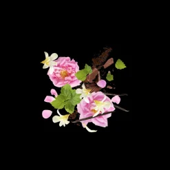 K Aurum Eau de Parfum 50ml