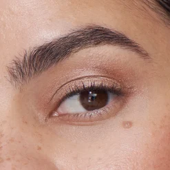 Liquid Powder Chromatic Eye Tint Fresco