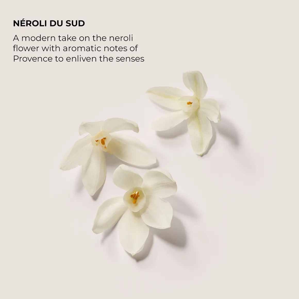 Néroli Du Sud Eau de Parfum 50ml