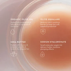 Olive Lip Butter Balm 8ml