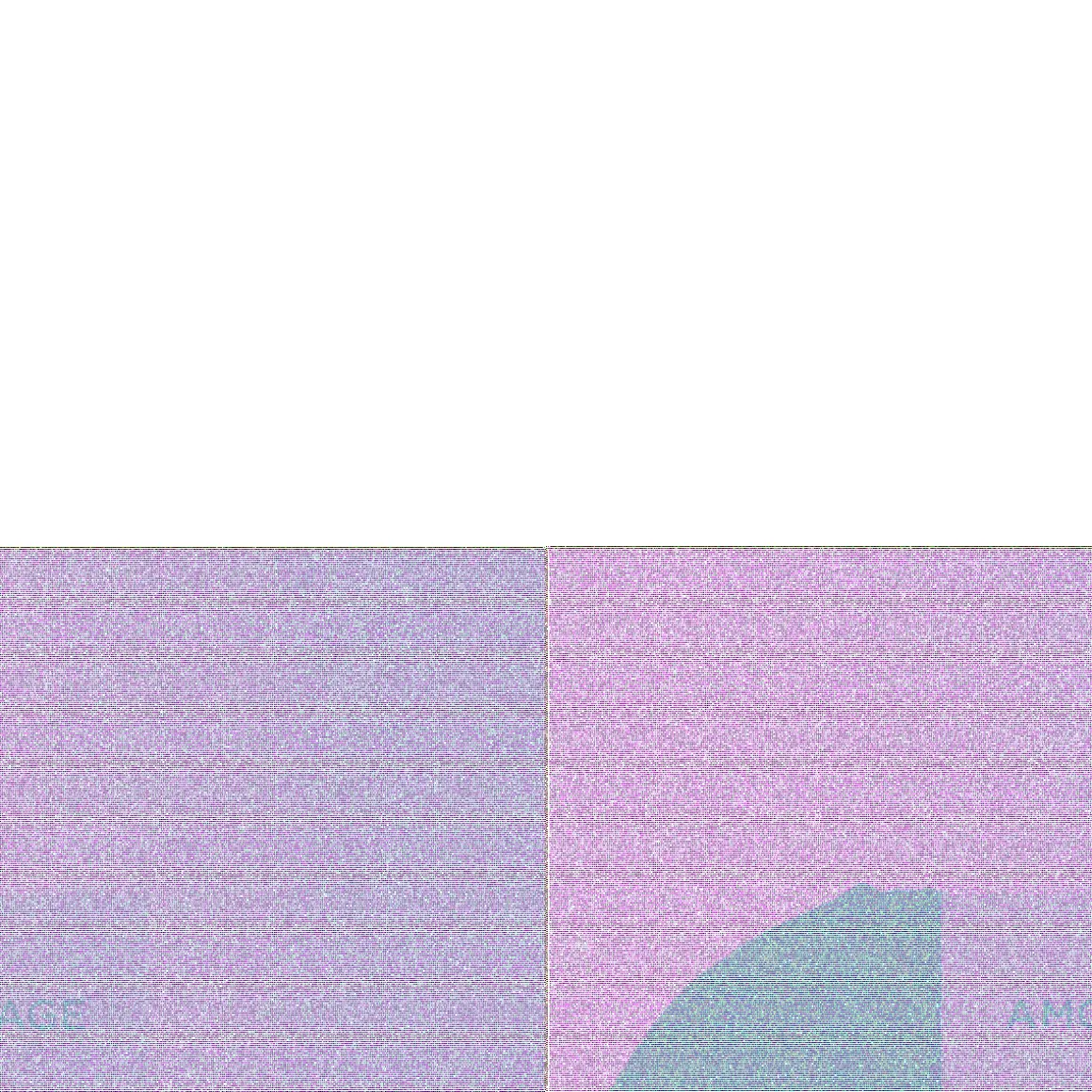 Opus XII Rose Incense Eau de Parfum 100ml