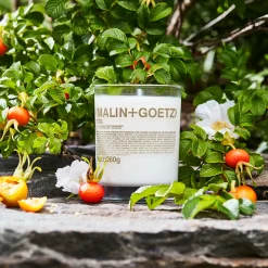 Otto Scented Candle 255gr