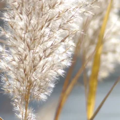 Papyrus Moleculaire Eau de Parfum 100ml