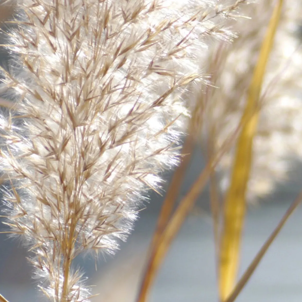 Papyrus Moleculaire Eau de Parfum 100ml