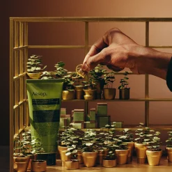 Party in the Greenhouse