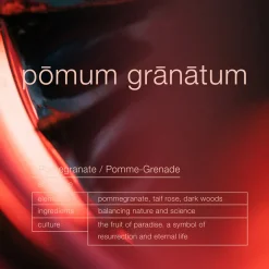 Pomum Granatum Ambiance Trigger Spray 1000ml