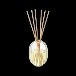 Reed Diffuser Figuier + Refill 200ml