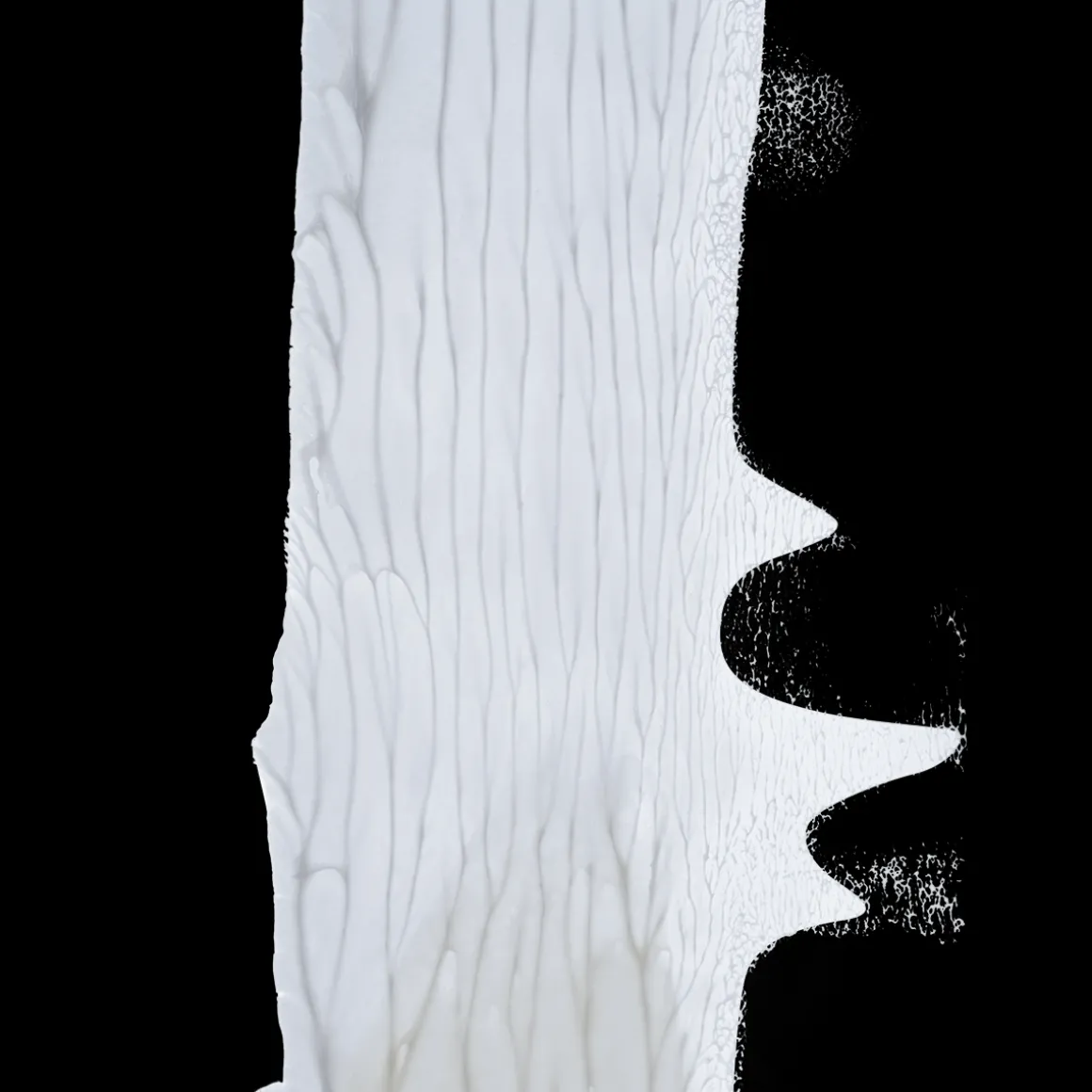 Refill Face Cream Day Anti-Aging 50ml