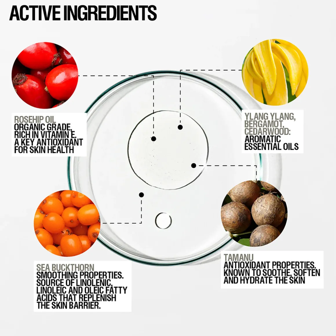 Restorative Body Oil 100ml