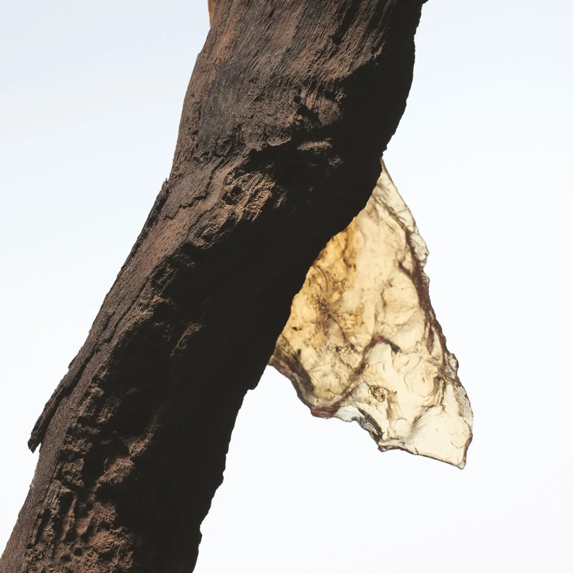 Rock The Myrrh Eau de Parfum 100ml