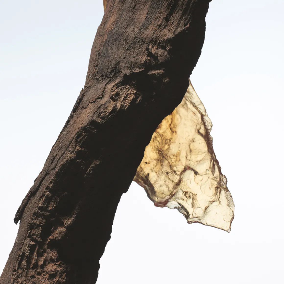 Rock The Myrrh Eau de Parfum Refill 200ml