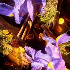 ROJA Haute Luxe Parfum 100ml