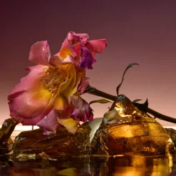 Rose Blaze Extrait de Parfum 90ml