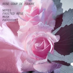 Rose Coup De Foudre Eau de Parfum 100ml