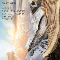Salty Wood Eau de Parfum 100ml