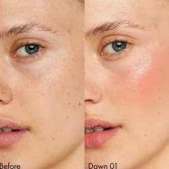 Solar Tint Blush Duo Dawn