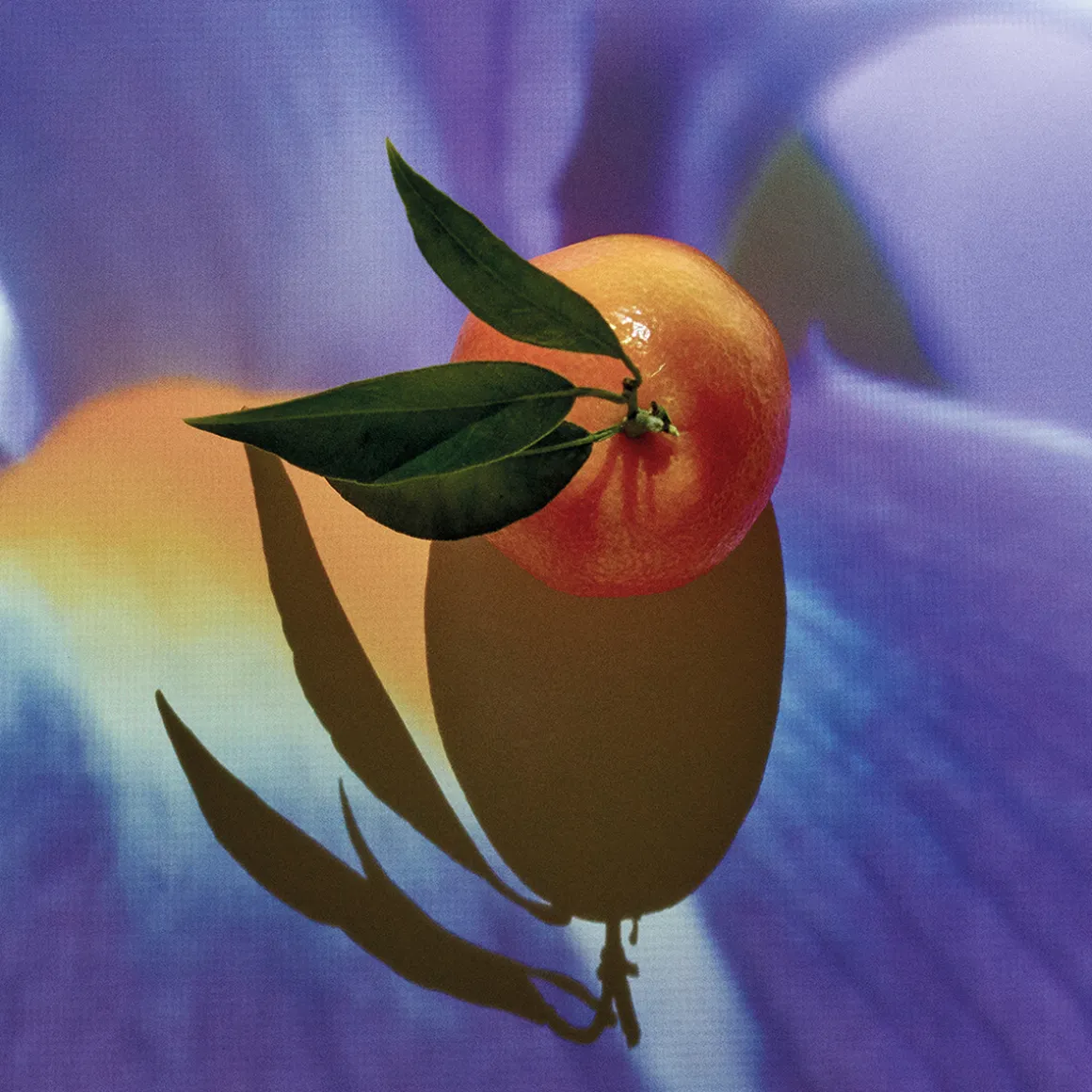 Solo Elixir Eau de Parfum 100ml