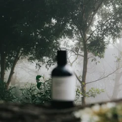 Steam Eau de Parfum Refill 100ml