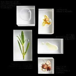 The Absolute Nourishing Lift Oil 15ml