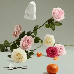 The Coveted Duchess Rose Eau de Parfum 75ml