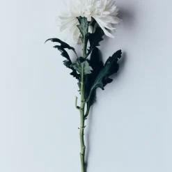 Towede Extrait de Parfum 50ml