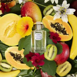 Tropicana Eau de Toilette 100ml